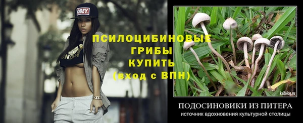 дмт Заволжск