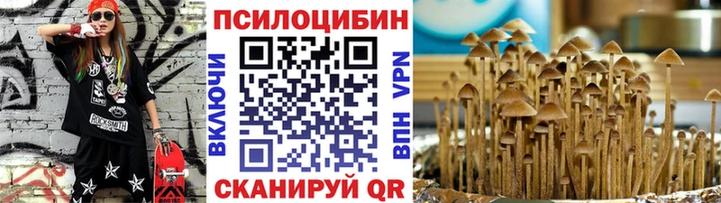 Псилоцибиновые грибы Psilocybe  гидра онион  Красноуфимск 
