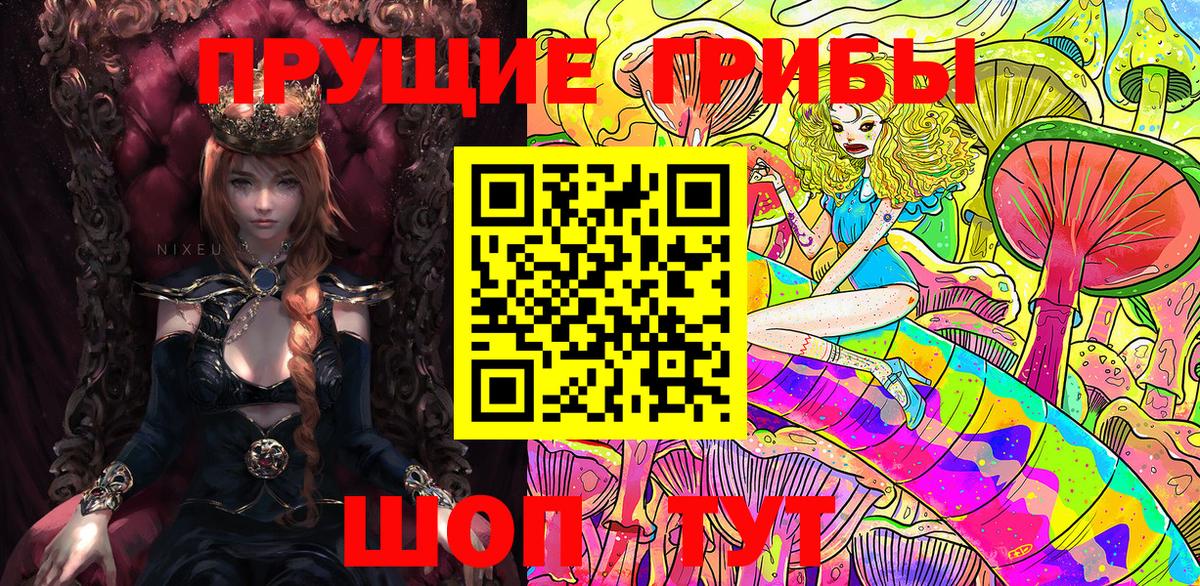 Псилоцибиновые грибы Cubensis Красноуфимск