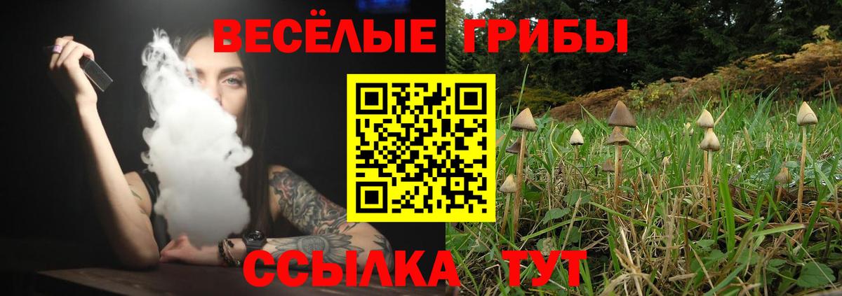 хочу наркоту  Псилоцибиновые грибы мухоморы  Вход с VPN  Красноуфимск 